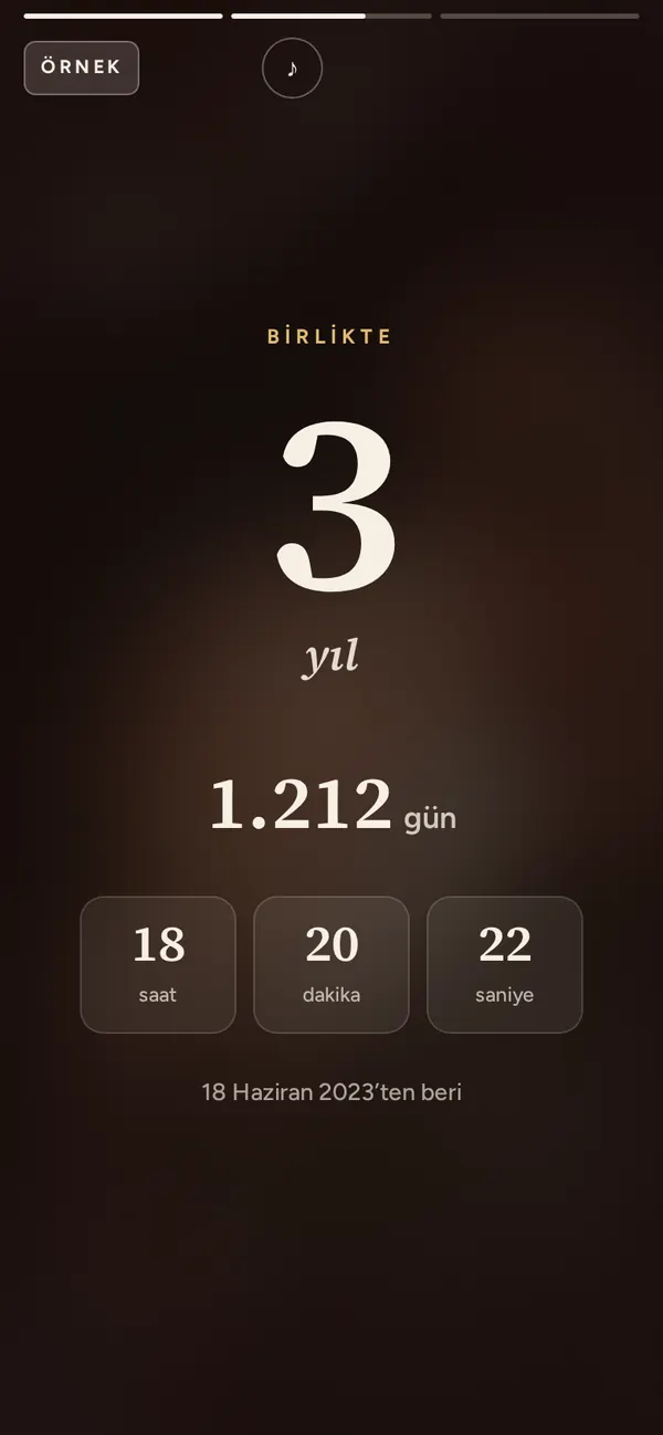 Birlikte geçen süre: 3 yıl, gün, saat, dakika ve saniye.